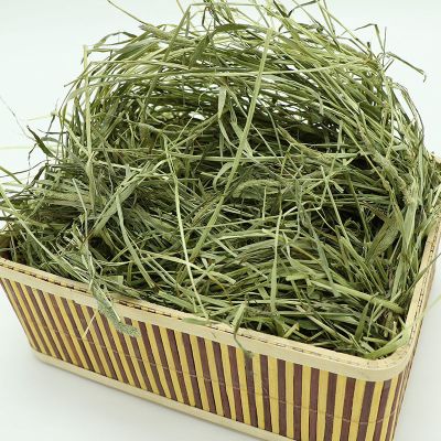 甘肃岷县北提牧草 为您的兔兔和龙猫挑选一份优质的2021年半烘干提摩西干...